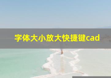 字体大小放大快捷键cad