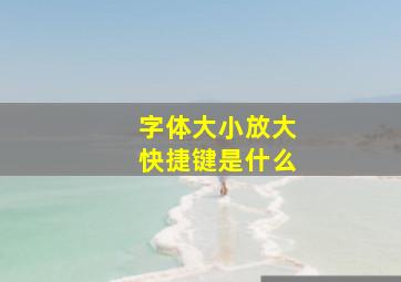 字体大小放大快捷键是什么