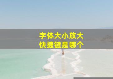 字体大小放大快捷键是哪个