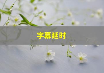 字幕延时