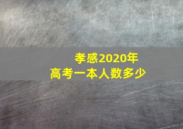 孝感2020年高考一本人数多少