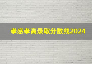 孝感孝高录取分数线2024