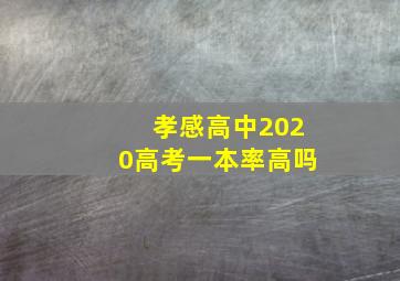 孝感高中2020高考一本率高吗