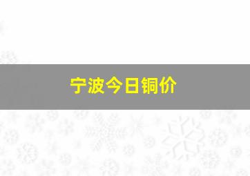 宁波今日铜价