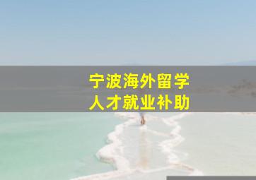 宁波海外留学人才就业补助