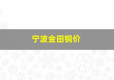 宁波金田铜价