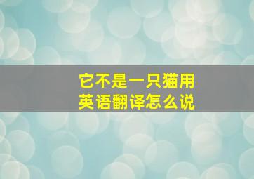 它不是一只猫用英语翻译怎么说