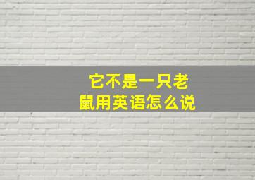 它不是一只老鼠用英语怎么说