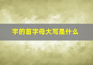 宇的首字母大写是什么