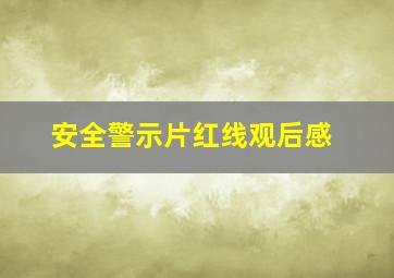 安全警示片红线观后感