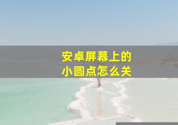 安卓屏幕上的小圆点怎么关