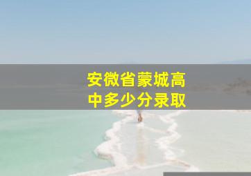 安微省蒙城高中多少分录取