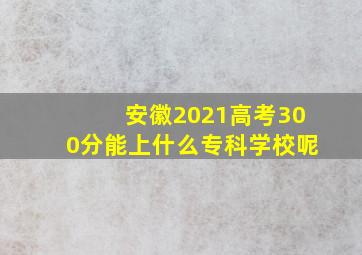 安徽2021高考300分能上什么专科学校呢