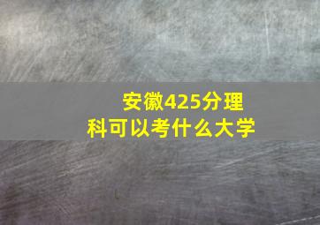 安徽425分理科可以考什么大学