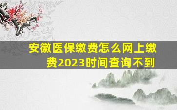 安徽医保缴费怎么网上缴费2023时间查询不到