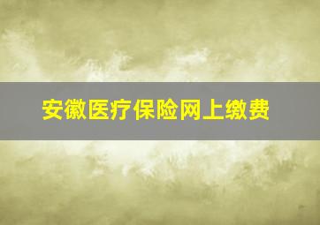 安徽医疗保险网上缴费