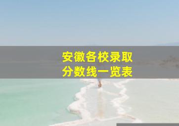 安徽各校录取分数线一览表