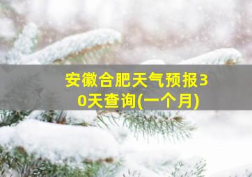 安徽合肥天气预报30天查询(一个月)