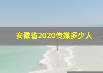 安徽省2020传媒多少人