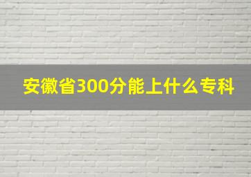 安徽省300分能上什么专科