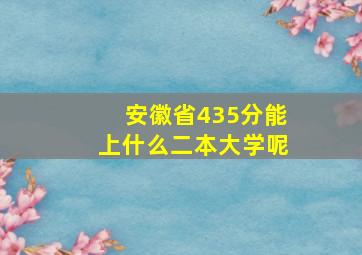 安徽省435分能上什么二本大学呢