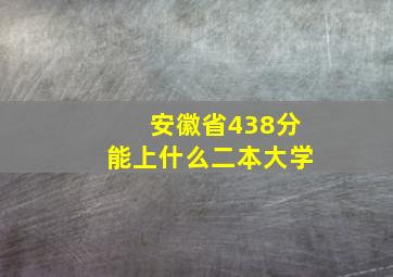 安徽省438分能上什么二本大学