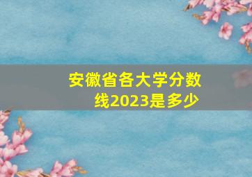 安徽省各大学分数线2023是多少