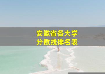 安徽省各大学分数线排名表