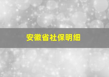 安徽省社保明细