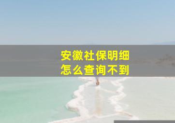 安徽社保明细怎么查询不到