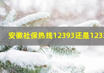 安徽社保热线12393还是12333