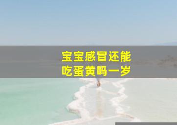 宝宝感冒还能吃蛋黄吗一岁