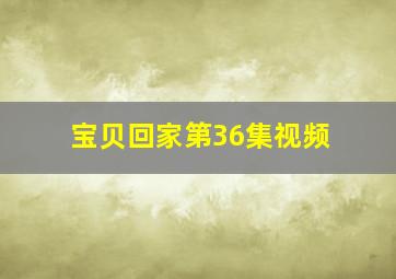 宝贝回家第36集视频