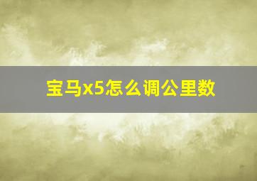 宝马x5怎么调公里数