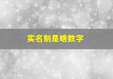 实名制是啥数字