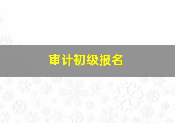 审计初级报名