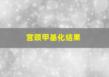 宫颈甲基化结果