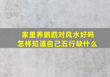 家里养鹦鹉对风水好吗怎样知道自己五行缺什么