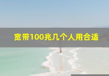 宽带100兆几个人用合适