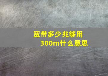 宽带多少兆够用300m什么意思