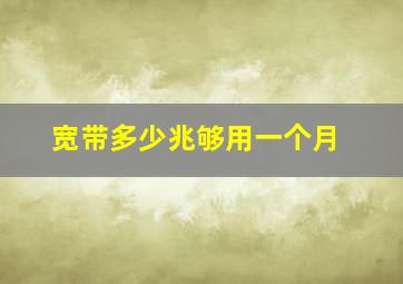 宽带多少兆够用一个月