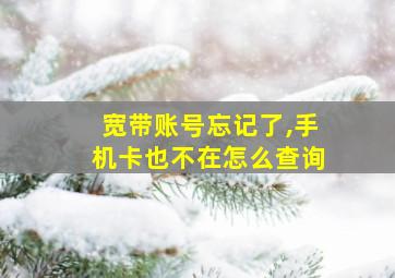 宽带账号忘记了,手机卡也不在怎么查询