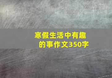 寒假生活中有趣的事作文350字