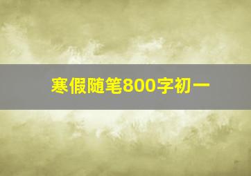 寒假随笔800字初一