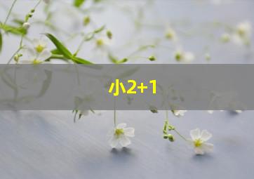 小2+1