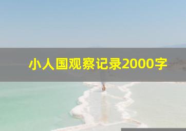 小人国观察记录2000字