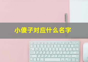 小傻子对应什么名字