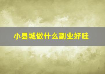 小县城做什么副业好哇