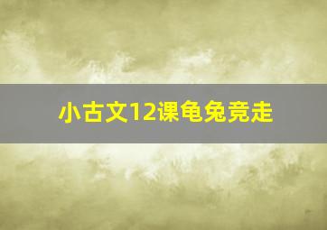 小古文12课龟兔竞走