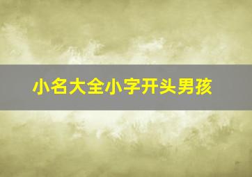 小名大全小字开头男孩